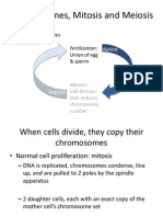 Chromosomes, Mitosis and Meiosis: All Sexual Life Cycles