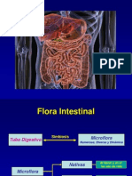 6 Flora Intestinal