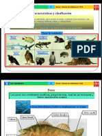 Características de Los Seres Vivos y Clasificación