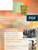 Dracunculusmedinensis 2