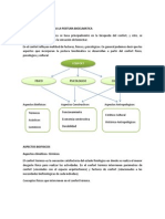 ARQUITECTURA BIOCLIMÁTICA.docx