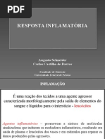 Resposta Inflamatória Parte 1