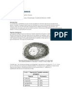 Candidiasis o hjshjdhCandidosis