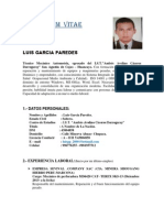 Curriculum Luis Garcia p.-1 (1) (1)[1]