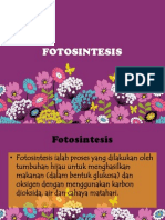 FOTOSINTESIS