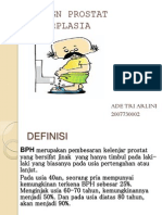 Benign Prostat Hyperplasia