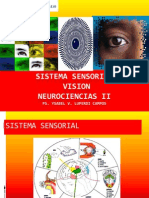 Sistema Sensorial Vista