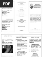 Triptico Diplomados 2014 (1)