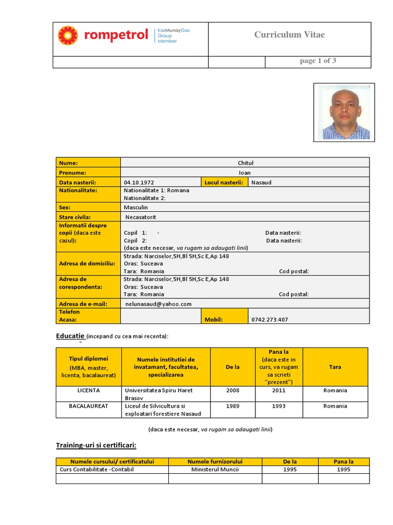 CV Form - KMG Rompetrol - Romania - RO Ioan Chitul | PDF