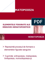 Histologie-Lp8 Hematopoieza