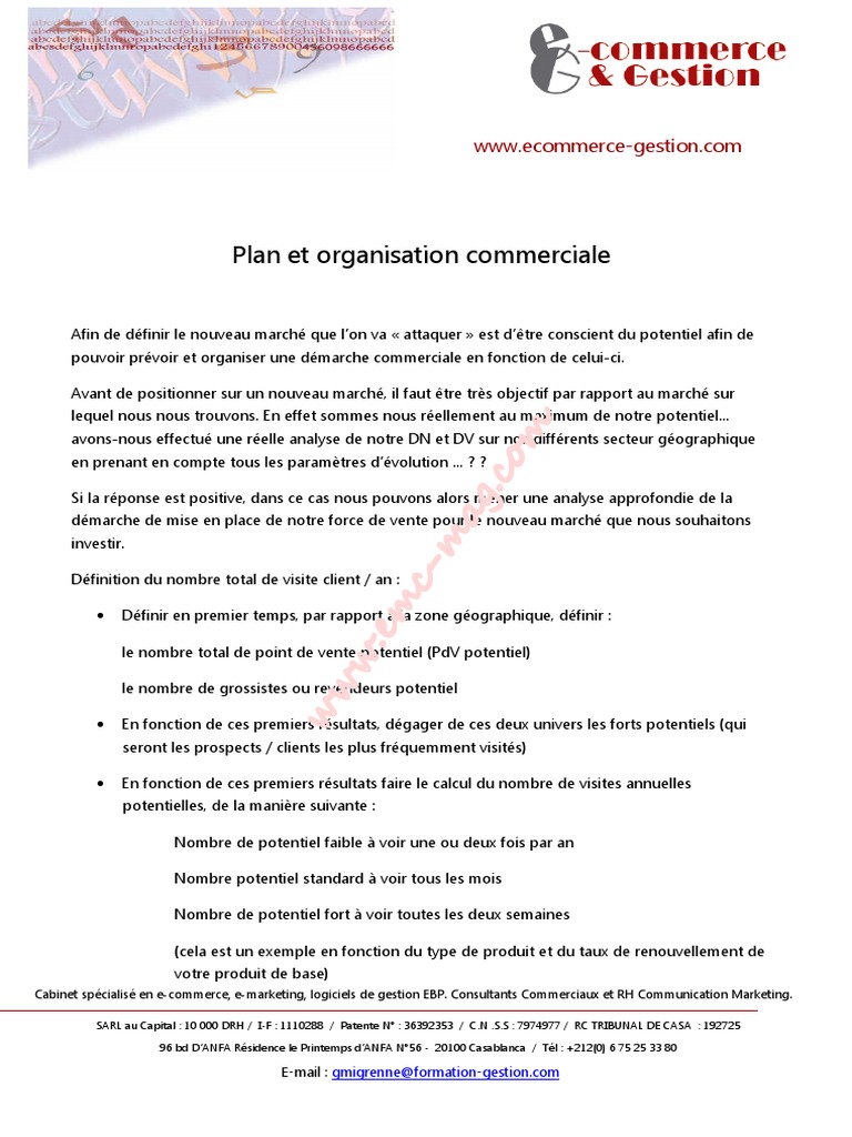 Plan d'Organisation Commerciale | PDF | Sodles | Commercialisation