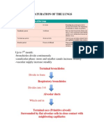 MATURATION OF THE LUNGS (EMBRYOLOGY).docx