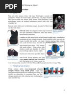 Download Risty Hidayanti-1306368160-Mengenal Baju Anti Peluru by Risty Hidayanti SN231411778 doc pdf