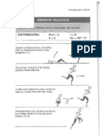 Circuito Velocidad