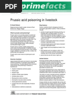 Prussic Acid Poisoning in Livestock