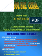 METABOLISME  LEMAK