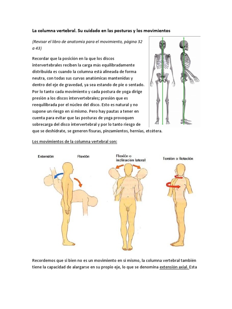 Cuidado Postural en Yoga | PDF | La columna vertebral | Vértebra