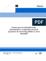 Pautas Para La I,FyES de PIP, Perfil (1)