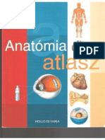 Anatómiai Atlasz (Hollo Es Tarsa Kiado)
