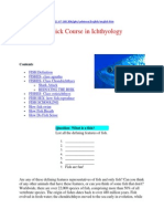 A Quick Course in Ichthyology: 211.67.160.206/jpkc/yuleixue/english/english - HTM