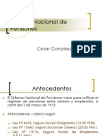 Clase10 - Sistema Nacional de Pensiones (19990) (3)