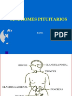 SD Pituitarios