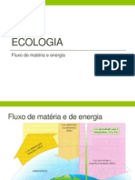 Ecologia 3