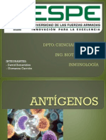 Antigen Os