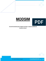 Manual Modsim