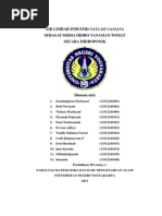 Download Air Limbah Industri Nata De Cassava sebagai Media Hidro Tanaman Tomat secara Hidroponikdocx by Wahyu Marliyani SN231495022 doc pdf