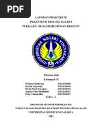 Download Laporan Praktikum Perilaku Organisme Hewan Bekicotdoc by Wahyu Marliyani SN231496680 doc pdf