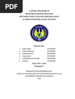 Download Laporan Praktikum Pewarisan Sifat dan Keanekaragaman pada Manusiadocx by Wahyu Marliyani SN231498452 doc pdf