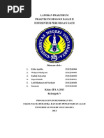 Download Laporan Praktikum Fotosintesis Percobaan Sachsdocx by Wahyu Marliyani SN231498459 doc pdf