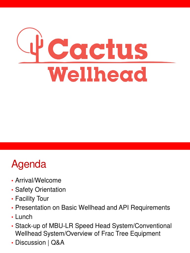 Cactus Wellhead Presentation