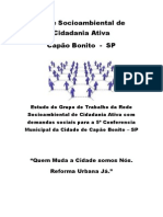 Demandas Sociais para A 5 Conferencia Municipal Da Cidade de Capão Bonito