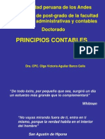 PCGA 2005pawer Doctrina Contable