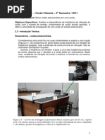 Corda Vibrante Exp 9