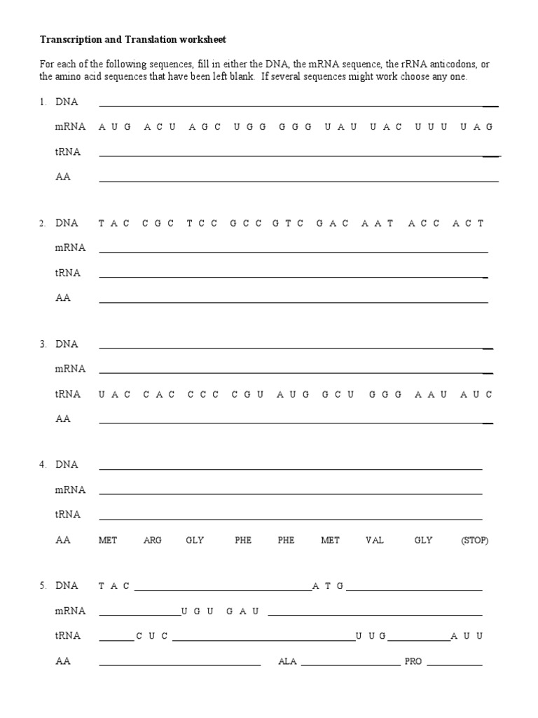 Translation WORKSHEET | Translation (Biology) | Messenger Rna