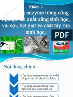 enz trong Tẩy Rửa-Xăng Sinh Học-Dệt Vải