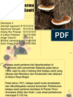 Ganoderma Kelapa Sawit