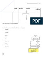 Bio Aerobic Resp Note Table Weebly