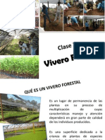 Vivero Forestal