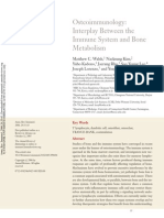 3.walsh MC, 2006, Osteoimunology