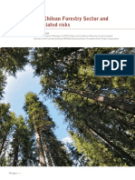The Chilean Forestry Sector and Associated Risks
