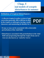 5 Tropical Disturbances Summer