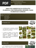 Extração Florestal SEMINÁRIO