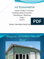 Proiect Econometrie