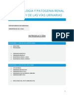 Fisiopatología y Patogenia General Del Rión y de Las Vías Urinarias