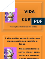 Vida curta