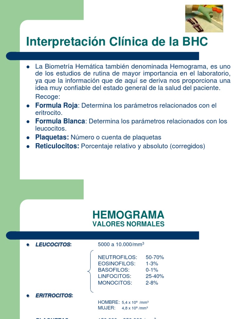 BHC | PDF | Leucocito | Glóbulo rojo